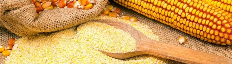 PASTA NATURA and Marchesato Polenta: creamy, soft and tasty.